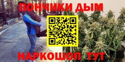 дживик Будённовск