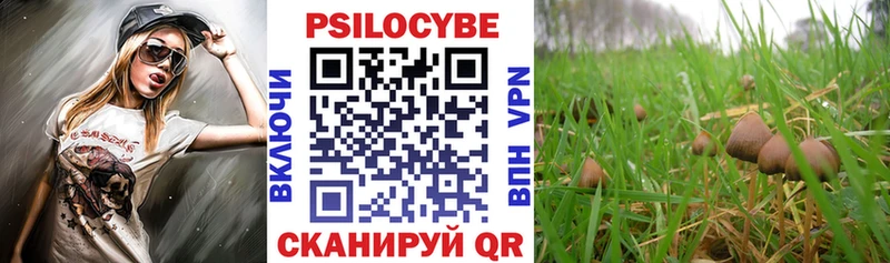 купить закладку  Железноводск  Галлюциногенные грибы мицелий 