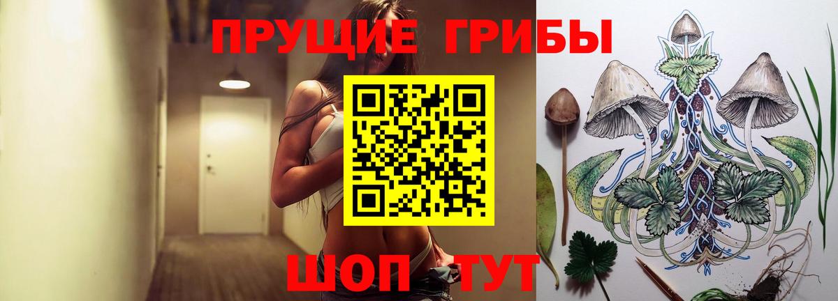 Псилоцибиновые грибы ЛСД  Галлюциногенные грибы GOLDEN TEACHER  Вход с VPN  Железноводск 